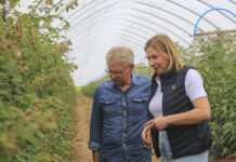 Aktualne zagrożenia na plantacjach malin: przędziorki, rdza i szara pleśń
