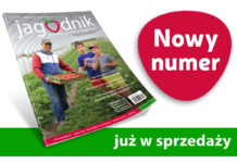 Jagodnik 5/2024 już w sprzedaży