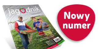 Jagodnik 5/2024 już w sprzedaży