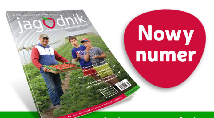 Jagodnik 5/2024 już w sprzedaży