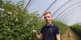 Budujemy lepszej jakości maliny + nowa wieloodmianowa kwatera malin