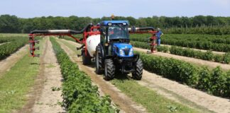 Zwrot akcyzy za paliwo – do kiedy trzeba złożyć wnioski o DJP