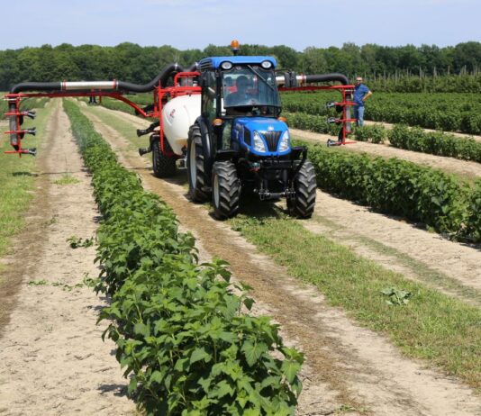 Środki finansowe dla gospodarstw – nabory wniosków