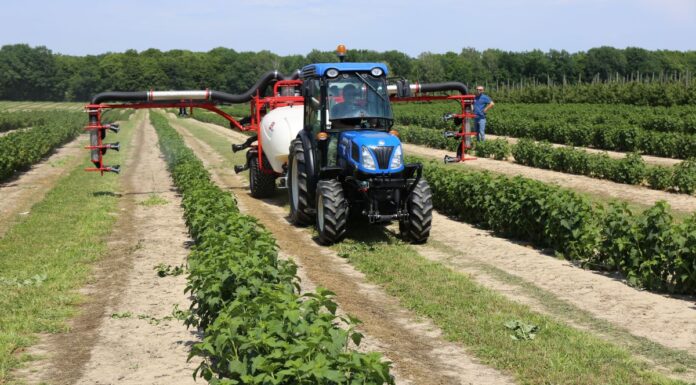 Zwrot akcyzy za paliwo – do kiedy trzeba złożyć wnioski o DJP