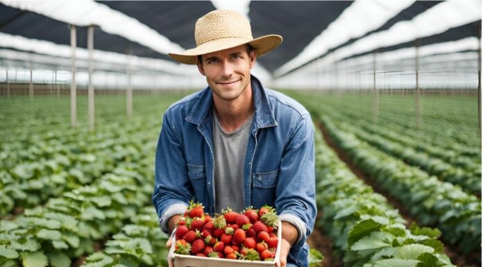ResiYou – sztuczna inteligencja w ochronie truskawek