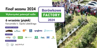 Borówkowe Factory 2024 – Finał sezonu