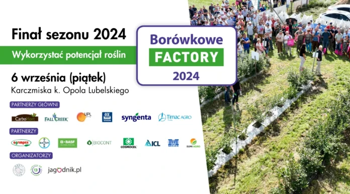 Borówkowe Factory 2024 – Finał sezonu
