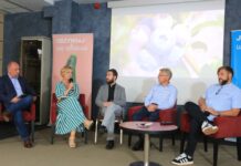 Sezon borówkowy 2024 w opinii ekspertów