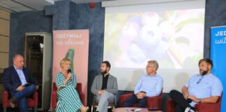 Sezon borówkowy 2024 w opinii ekspertów