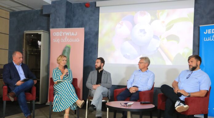 Sezon borówkowy 2024 w opinii ekspertów