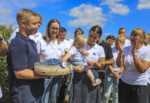 3.2.1. Sezon na polskie borówki wystartował, i to jak!