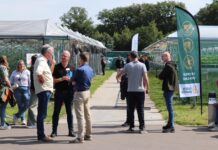 Delphy ISFC Summer Event– bogata oferta wystawców