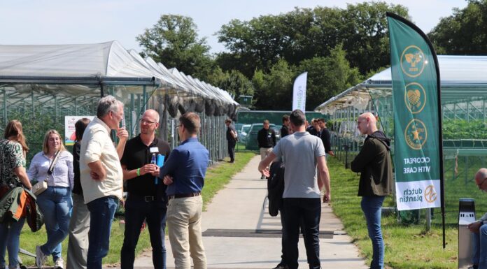 Delphy ISFC Summer Event– bogata oferta wystawców