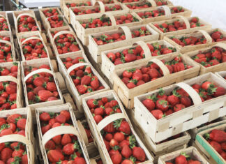 Czy sezon truskawkowy się kończy? Ceny, podaż rokowania