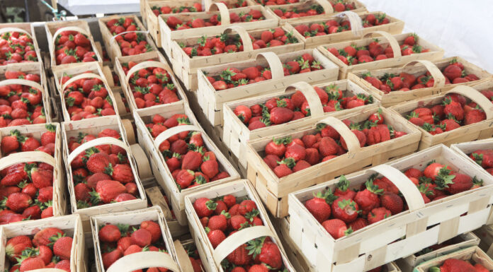 Czy sezon truskawkowy się kończy? Ceny, podaż rokowania