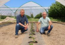 Dlaczego warto już pomyśleć o kolejnym sezonie mailowym?