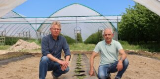 Dlaczego warto już pomyśleć o kolejnym sezonie mailowym?