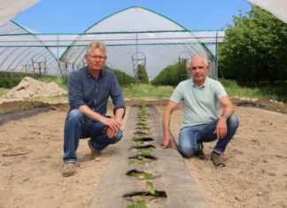 Dlaczego warto już pomyśleć o kolejnym sezonie mailowym?