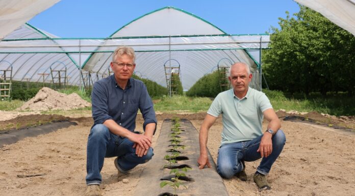 Dlaczego warto już pomyśleć o kolejnym sezonie mailowym?