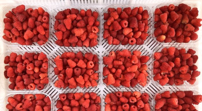 Ochrona malin w trakcie kwitnienia i owocowania