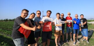 Poszukiwany, poszukiwana! Dołącz do naszego zespołu!