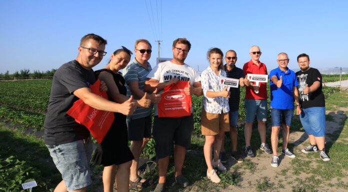 Poszukiwany, poszukiwana! Dołącz do naszego zespołu!