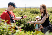 Czy samozbiory owoców mogą być szansą dla polskich gospodarstw?