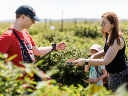 Czy samozbiory owoców mogą być szansą dla polskich gospodarstw?
