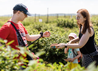 Polacy są zainteresowani samozbiorami