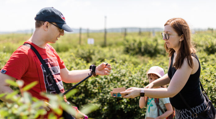 Czy samozbiory owoców mogą być szansą dla polskich gospodarstw?