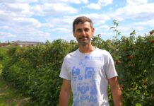 Malin przemysłowych mało, ceny przeciętne