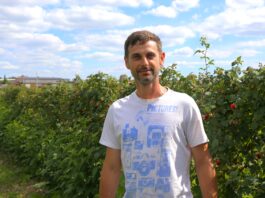 Malin przemysłowych mało, ceny przeciętne