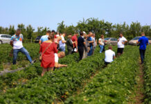 6 lipca – finał Truskawkowych Inspiracji 2024