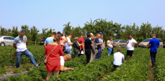 6 lipca – finał Truskawkowych Inspiracji 2024