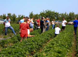 6 lipca – finał Truskawkowych Inspiracji 2024