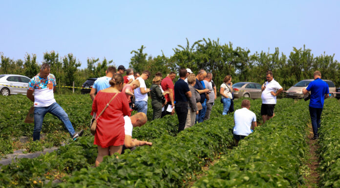6 lipca – finał Truskawkowych Inspiracji 2024