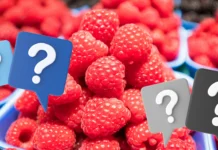 Ceny malin i truskawek w drugiej połowie czerwca (Notowania z dn. 24.06 2024)