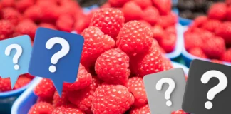 Ceny malin i truskawek w drugiej połowie czerwca (Notowania z dn. 24.06 2024)