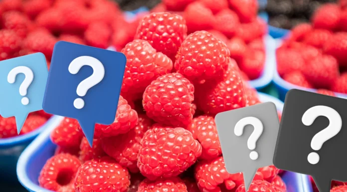 Ceny malin i truskawek w drugiej połowie czerwca (Notowania z dn. 24.06 2024)