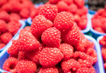 Posłowie w Brukseli za zmianami wzmacniającymi pozycję rolników w łańcuchu dostaw żywności