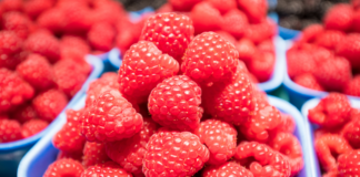 Posłowie w Brukseli za zmianami wzmacniającymi pozycję rolników w łańcuchu dostaw żywności