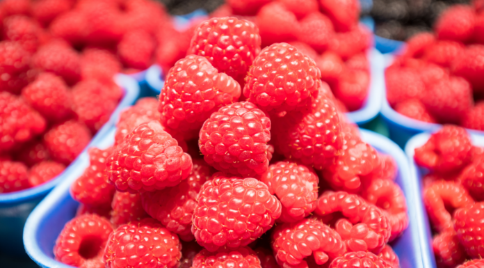 Posłowie w Brukseli za zmianami wzmacniającymi pozycję rolników w łańcuchu dostaw żywności