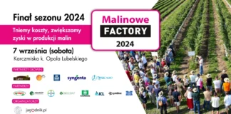 Malinowe Factory 2024 – Finał sezonu