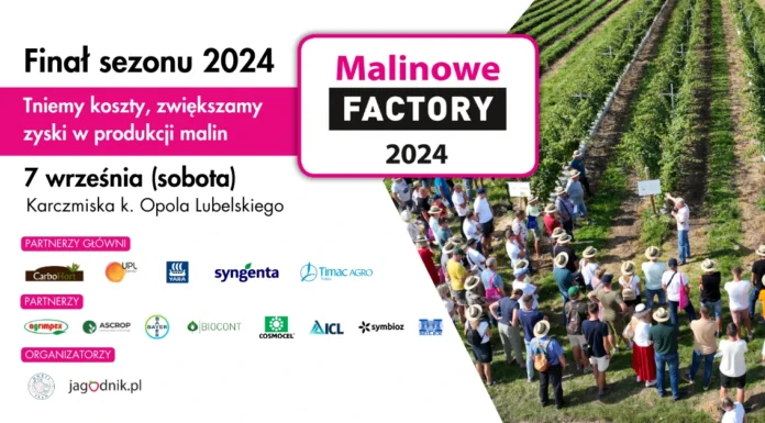Malinowe Factory 2024 – Finał sezonu