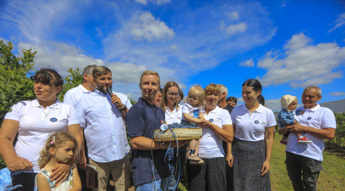 1 LIPCA – Dzień Polskiej Borówki a sezon borówkowy w pełni!