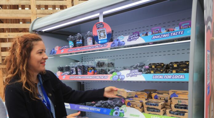 Rynek borówki wymaga innowacji i nowych kategorii