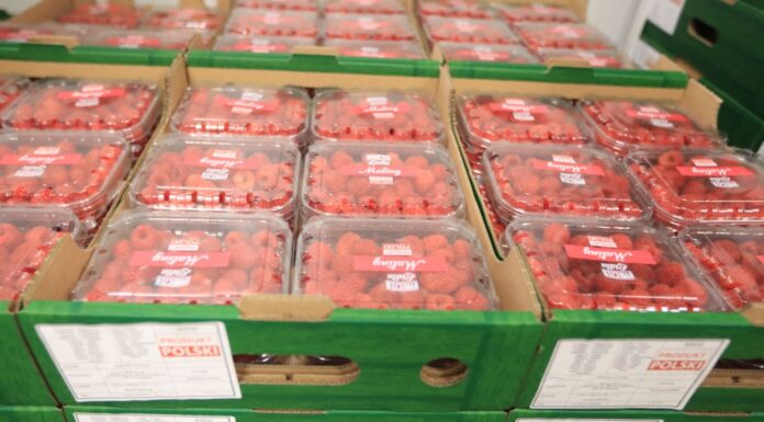 Notowanie cen malin i truskawek – 31 lipca 2024