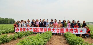 Tendencje na rynku malin przemysłowych – IRO 2024 Chiny