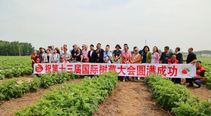 Tendencje na rynku malin przemysłowych – IRO 2024 Chiny