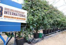 Gospodarstwo jagodowe jak nowoczesna firma